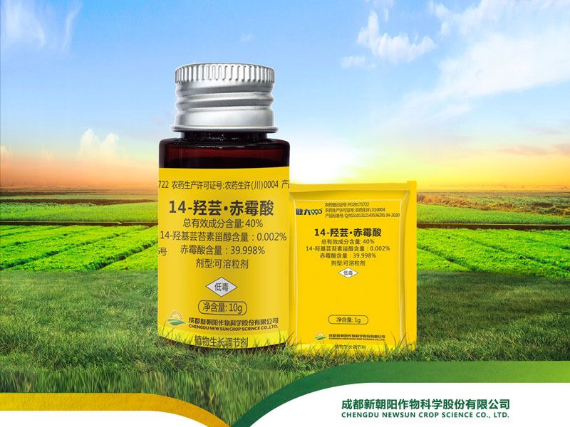 赤霉酸