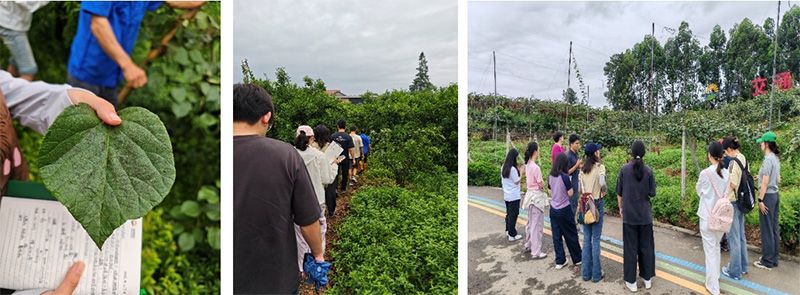 首個！中國農業大學攜手新朝陽啟動“朝陽稼穡計劃”